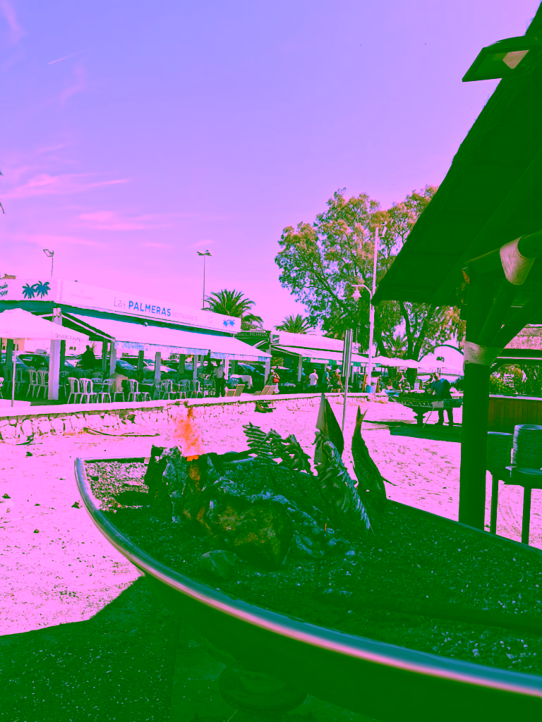 Las Palmeras Fish Restaurant Pedregalejo